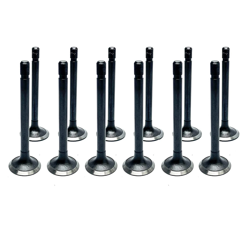 Baudouin Diesel Spare Parts Intake Exhaust Valve 6F21 8F21 6M16 6M19 6M21 6M26 6M33